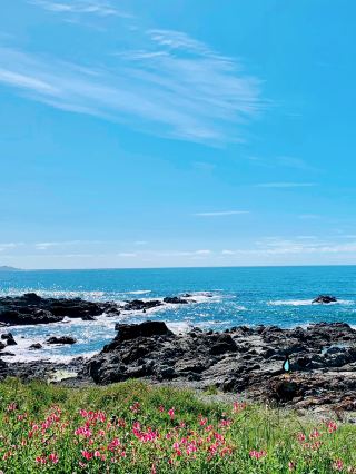 New Zealand's underrated seaside town, more worth visiting than Queenstown