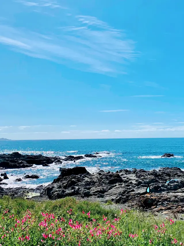 New Zealand's underrated seaside town, more worth visiting than Queenstown