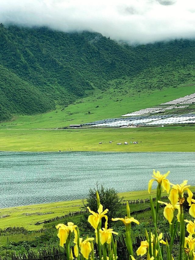 雨季川西安全旅行還是去冶勒湖孟獲城吧