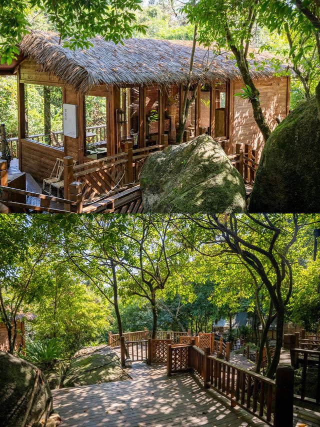 在廣州！避開人流！！住進增城森林秘境