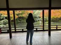 新西蘭北島第二大城市漢密爾頓一日遊