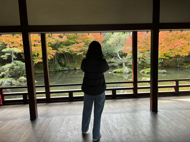 新西蘭北島第二大城市漢密爾頓一日遊