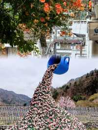這是一個適合放鬆心情、享受小鎮生活的愜意地方
