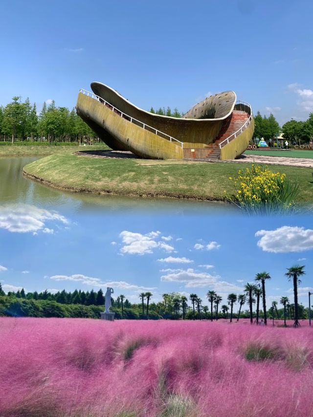 走進白馬湖：體驗濕地公園的寧靜