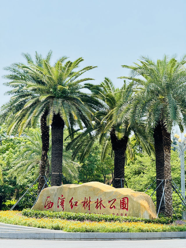 夏日再出發深圳，機場附近的寶安紅樹林公園我拍到了人生瞬間畫