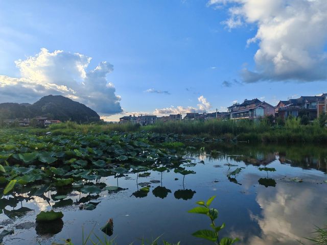 陽光明媚