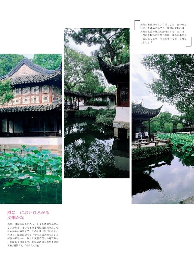 「蘇州園林之旅，穿越時空感受中國古代園林的魅力」