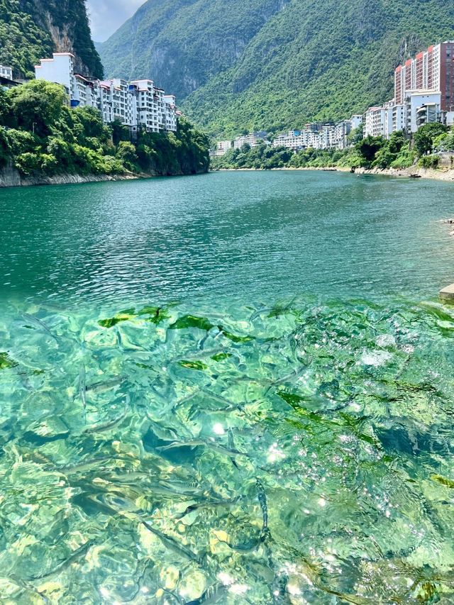 天峨縣旅遊攻略。