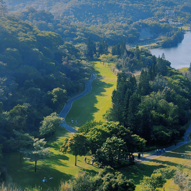 廈門上李水庫公園 | 城市裏的森系公園，去户外徒步、野餐、露营