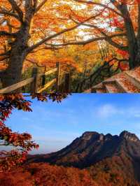 人生建議：一定要在秋天去一次光霧山看紅葉！