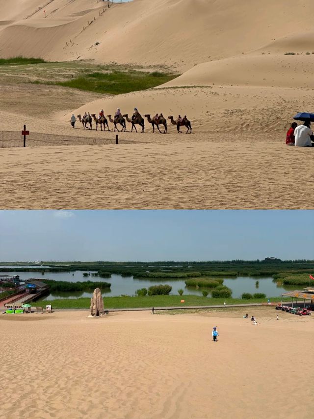 沙湖，一半沙漠，一半湖水。