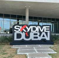 Dubai Skydiving | 迪拜棕櫚島高空跳傘