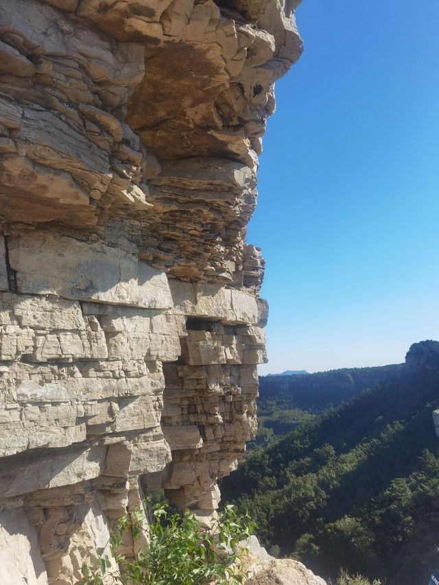 平邑縣曾子山。
