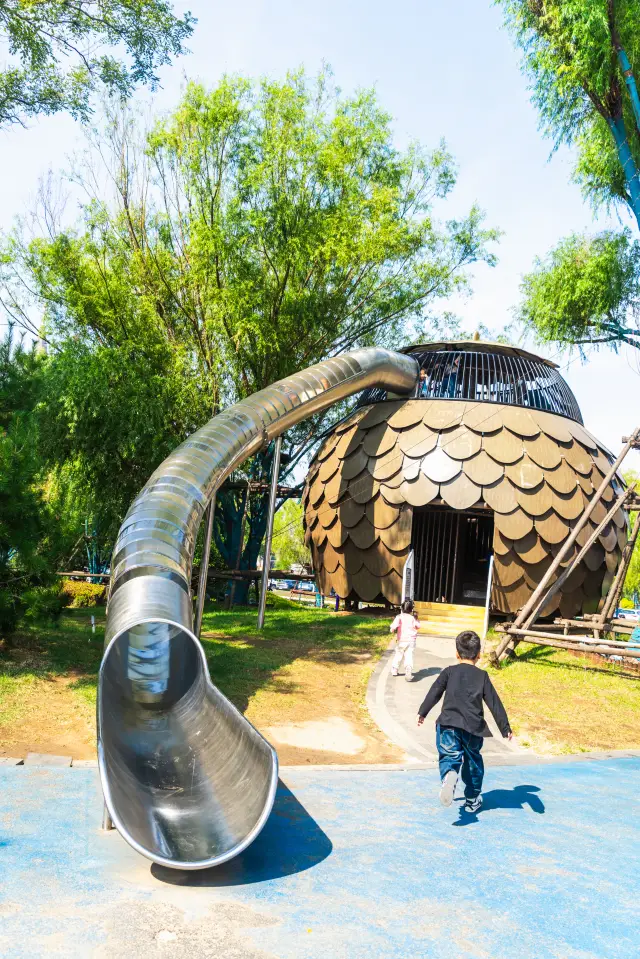 [Embracing Moon Bay · Dreamy Beach Check-in Diary] 