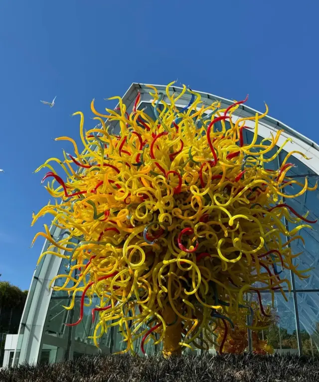Encounter Seattle | Chihuly Garden and Glass.