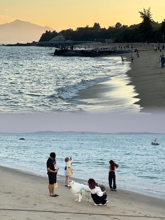 今天的廈門海邊真的太美了。