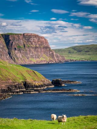 Fall in Love with Ireland | A Day in Sligo