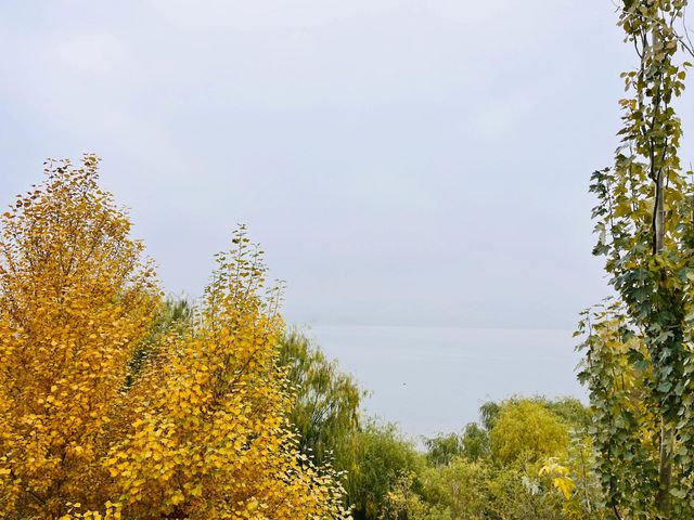 黃羊河水庫。