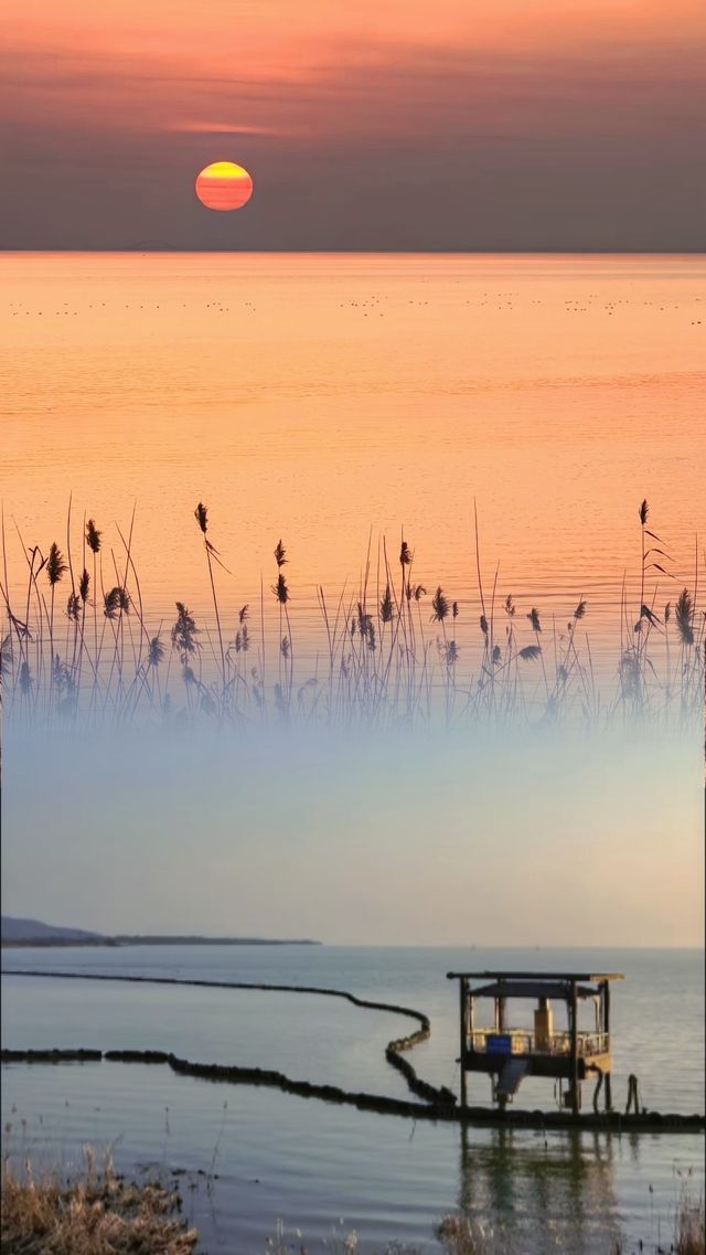 驚呆了！合肥竟然有這樣的海島。