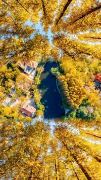 驚艷之選：盡覽風景的旅遊勝地探索之旅。