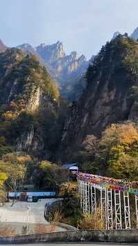 南陽老界嶺，高山之巔的夢幻之旅！。