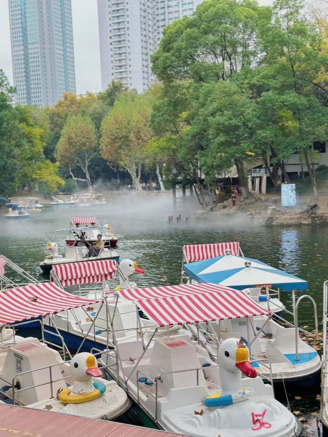 人生建議11月的廣州真的很美。