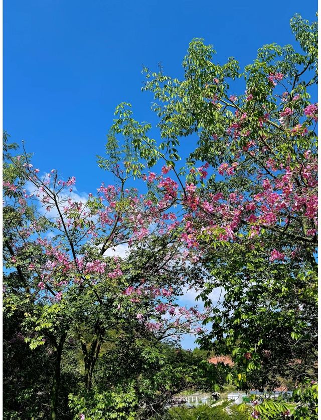 成都周末周邊遊必打卡：三岔湖景區及周邊。