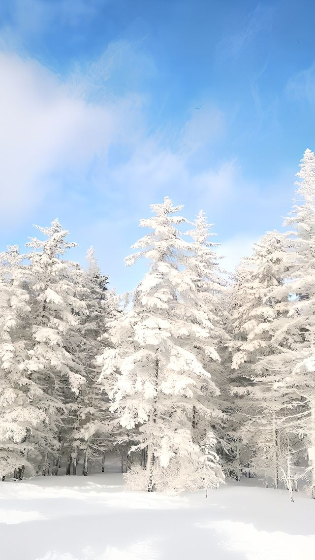 老里克湖的住宿很冷嗎？