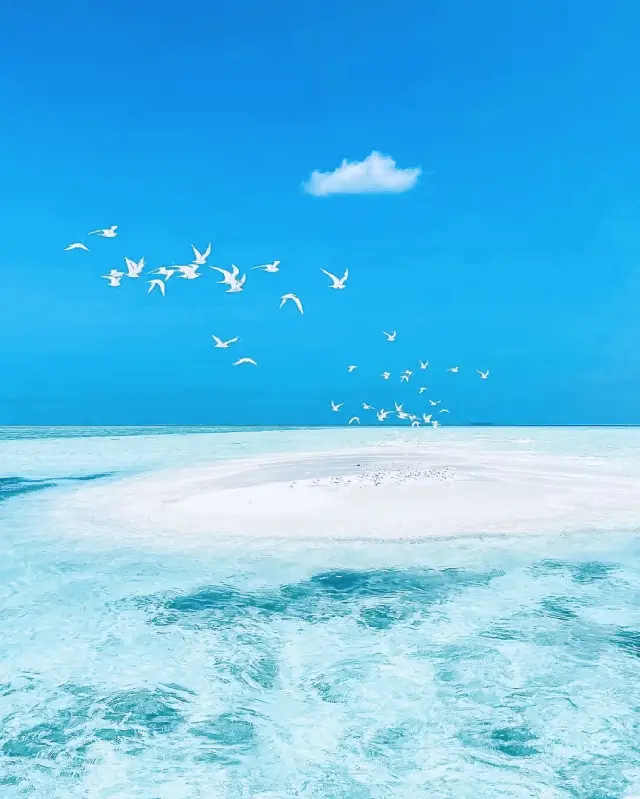 몰디브 최고의 섬 선택 공략, 놓치면 후회할 거예요.