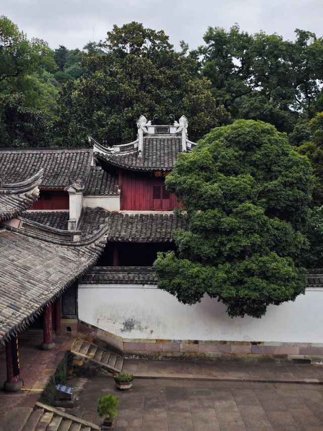 此行為你而來～1批次國保保國寺。
