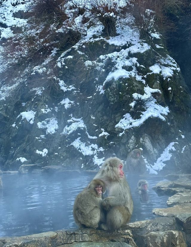 比起北海道，我更愛長野這個小眾景點...