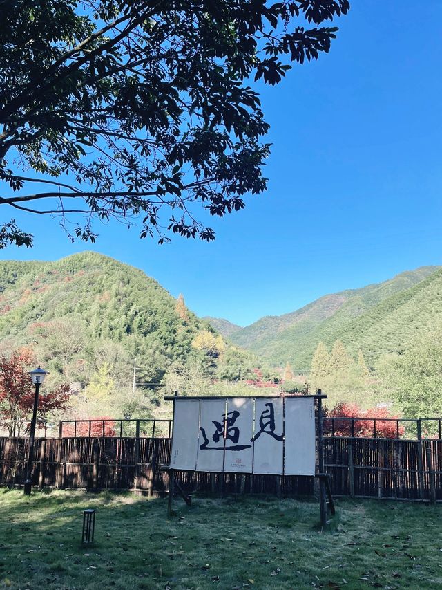寧波自駕遊