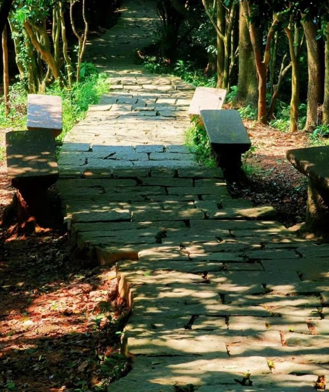 塘朗山觀瀑布、猴子的吸氧路線~！