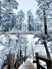 滑雪愛好者必看！西嶺雪山的極致爽滑之旅