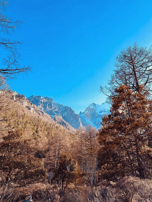 稻城亞丁珍珠海：藏族風情與自然美景的完美邂逅