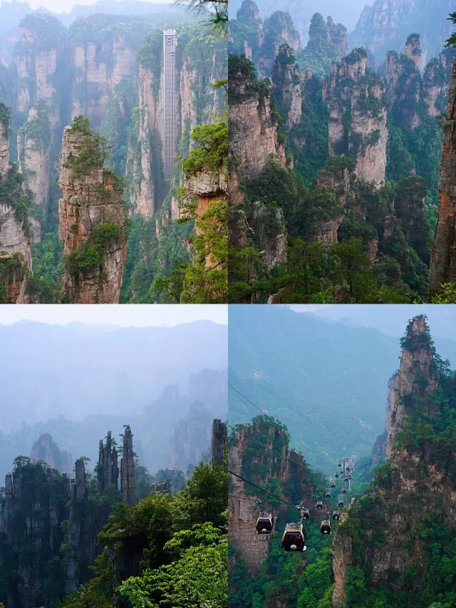 長沙-韶山-張家界5日遊長者版旅行指南 行動不停