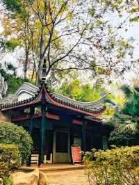 長沙｜白沙古井的遊玩攻略
