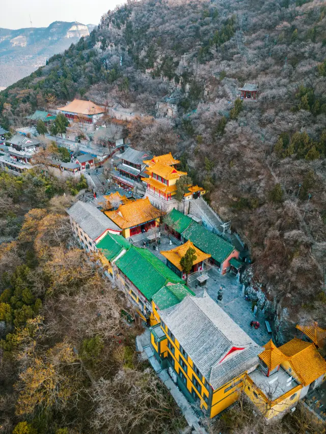 冬日千佛山怎麼玩 上山前這份攻略請收好