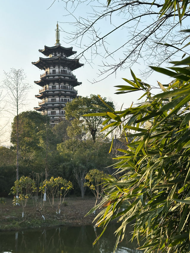 長沙洋湖濕地公園我拍的白鷺塔還可以吧？