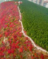 濟南蝎子山