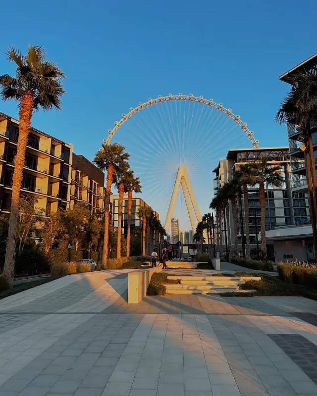 一個人去杜拜也不錯哦  