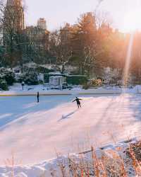 冬日中央公園：邂逅紐約的夢幻雪景