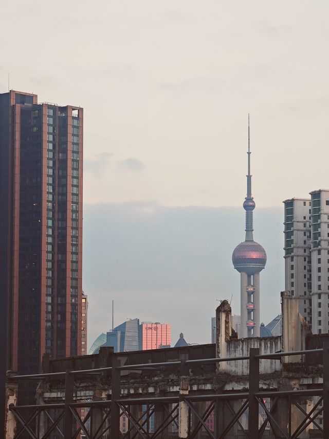 蘇河皓司的露台