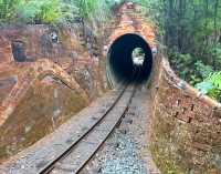 探秘新西蘭科羅曼德爾｜Driving Creek Railway