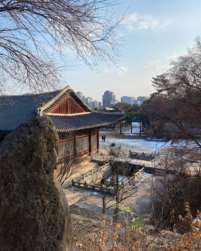 穿越到古代韓劇的一天！昌慶宮超絕打卡