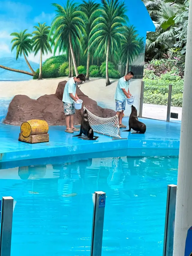 廣東深圳野生動物園|動物大世界