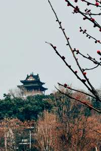武漢：歷史的金聲玉振
