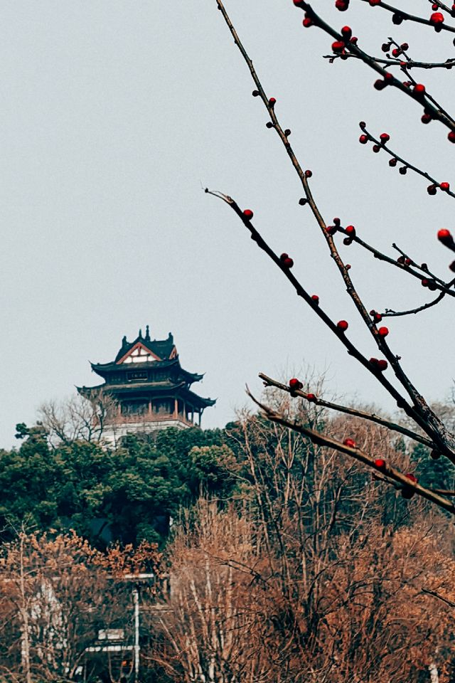 武漢：歷史的金聲玉振