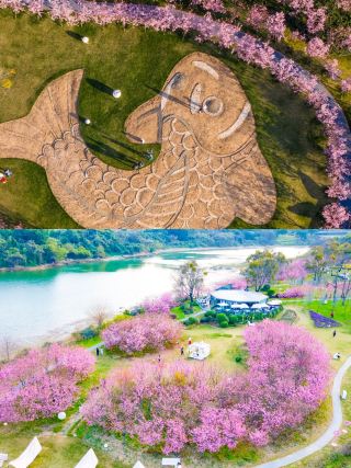 Liyuzhou | Fuzhou Cherry Blossom Viewing, Top Valentine's Day Guide!