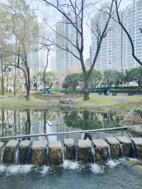 鬧市中竟有這樣的秘境-徐家匯公園